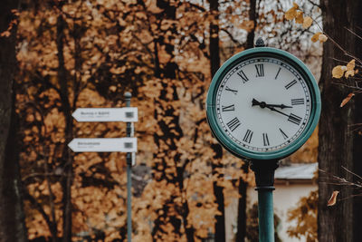 Close up of round clock on the autumn leaves background 