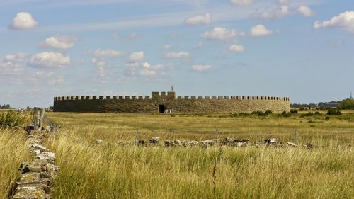 Scenic view of field against sky