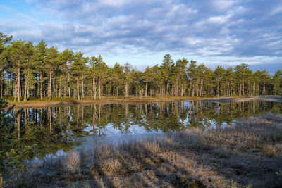 Lake at viru raba or bog swamp at lahemaa national park in autumn