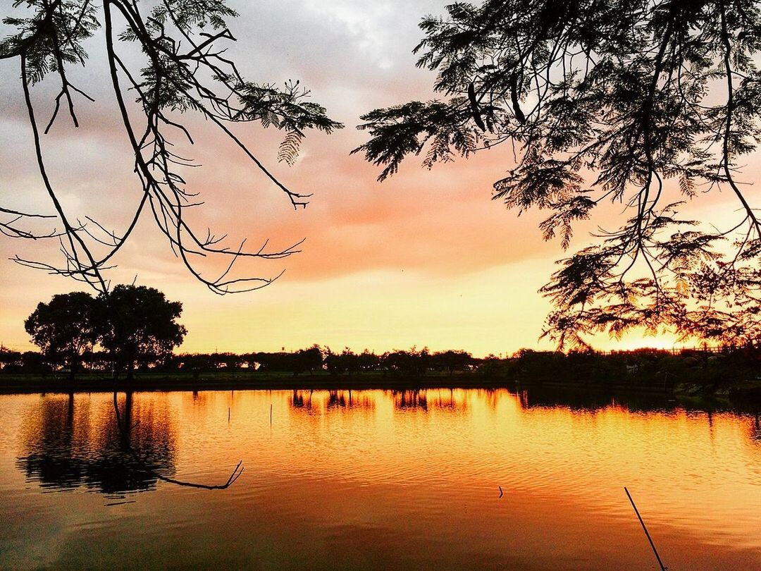 SILHOUETTE TREES BY LAKE AGAINST SKY DURING SUNSET