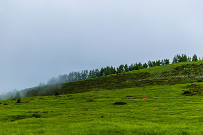 environment