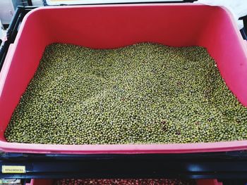High angle view of carrots on display at market