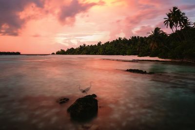 Scenic view of sea against sky at sunset