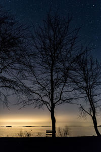 Silhouette tree on beach against sky at sunset