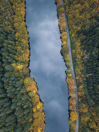 Scenic view of forest against sky during autumn