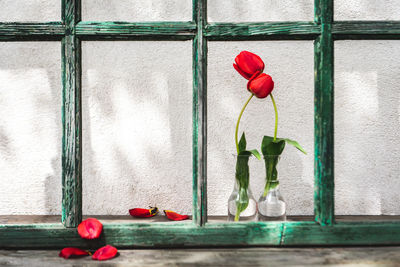 Close-up of red tulips in vase in window frame