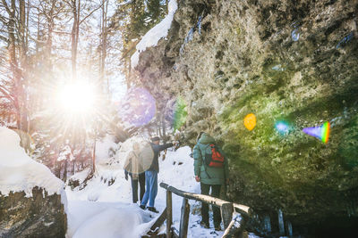 Panoramic view of people on snow covered trees