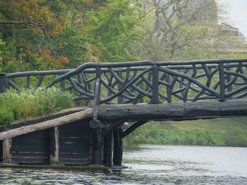 Bridge over river in forest