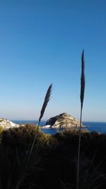 Scenic view of sea against clear blue sky