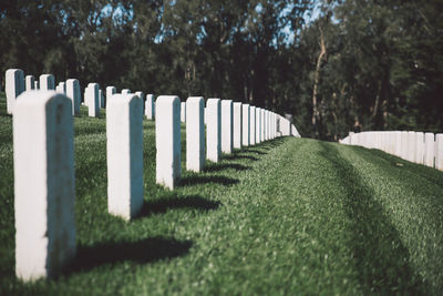 Tombstones in cemetery