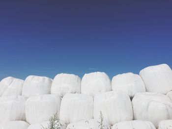 Low angle view of trees against clear blue sky