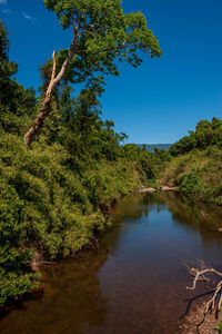 Scenic view of lake against clear blue sky