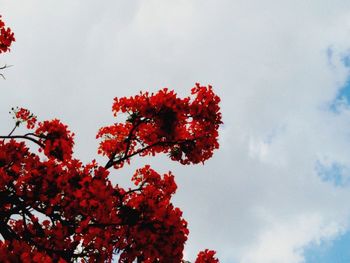 Low angle view of trees against sky