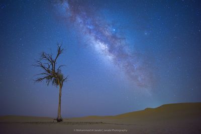 Scenic view of trees against sky at night