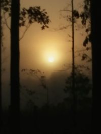 Silhouette trees against sky during sunset