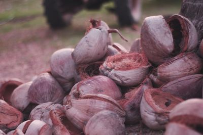 Full frame shot of onions