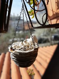 Close-up of ice cream hanging on wooden table