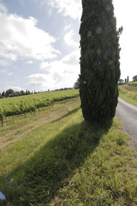 Scenic view of farm against sky