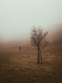 Scenic view of field in foggy weather