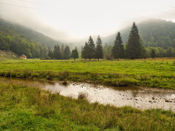 Scenic view of landscape against sky