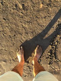 Low section of man standing on sand