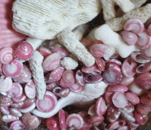 Full frame shot of market stall