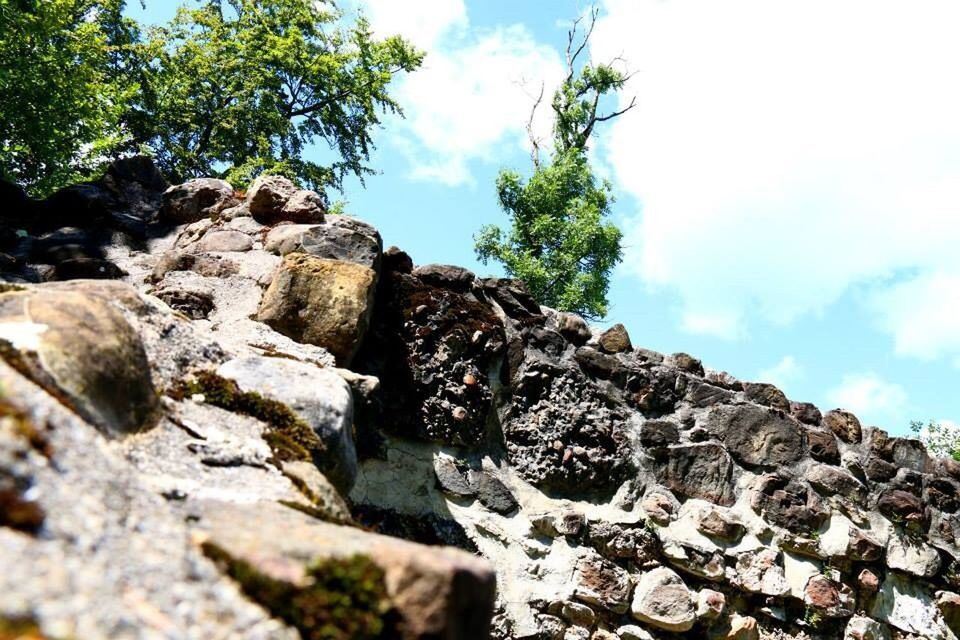 sky, rock - object, low angle view, tree, rock formation, textured, cloud - sky, nature, stone - object, stone, tranquility, rock, stone wall, cloud, day, tranquil scene, rough, outdoors, beauty in nature, no people