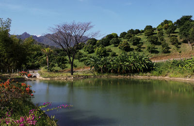 Scenic view of lake against sky