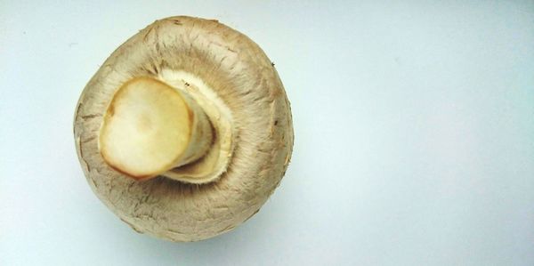 Close-up of food on white background