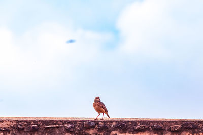 sky
