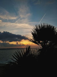 Silhouette palm trees on beach against sky during sunset