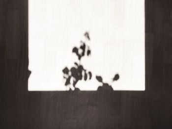 Close-up of shadow on paper