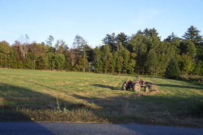 Trees on field against sky