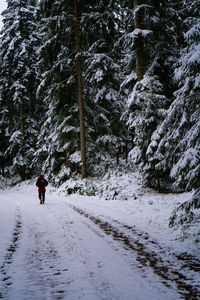 Man skiing on snow covered field