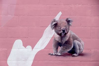 Horse standing against pink brick wall