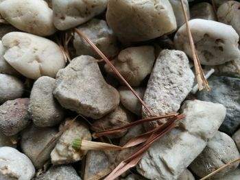 Full frame shot of objects