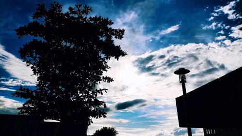 Low angle view of silhouette tree and building against sky