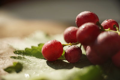 Close-up of strawberries