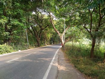 Road amidst trees in forest