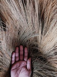 Close-up of human hand