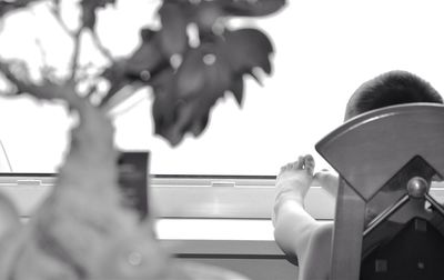 Low angle view of trees