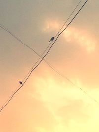 Low angle view of power lines against sky