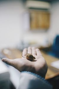 Close-up of man hand