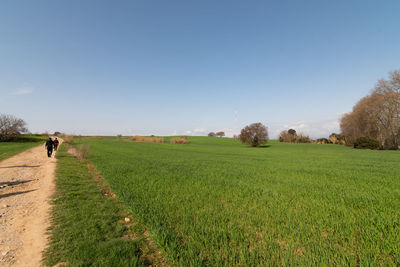 Man walking on field against sky