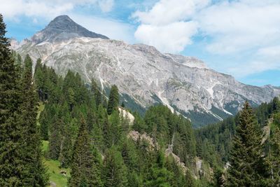 Panoramic view of trees and mountains against sky