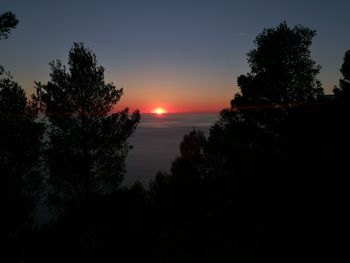 Silhouette trees by sea against sky during sunset