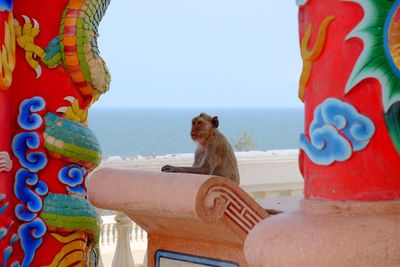 Side view of a monkey against calm sea