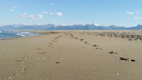 Scenic view of beach against sky