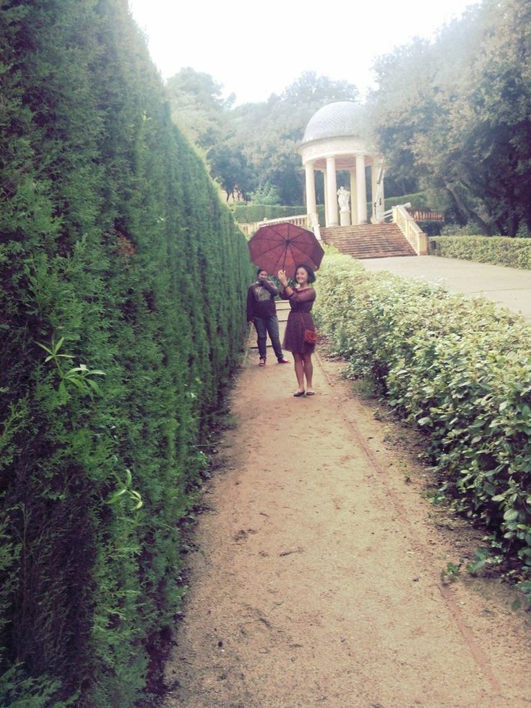 the way forward, full length, walking, rear view, lifestyles, men, tree, leisure activity, plant, person, green color, diminishing perspective, growth, footpath, casual clothing, dirt road, nature