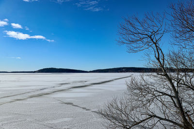 Scenic view of beach against blue sky